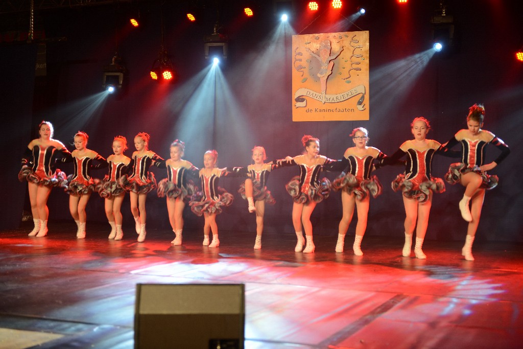 ../Images/Dansmarieke Festival 2016 094.jpg
